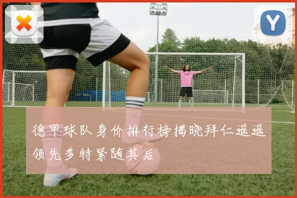 德甲球队身价排行榜揭晓拜仁遥遥领先多特紧随其后